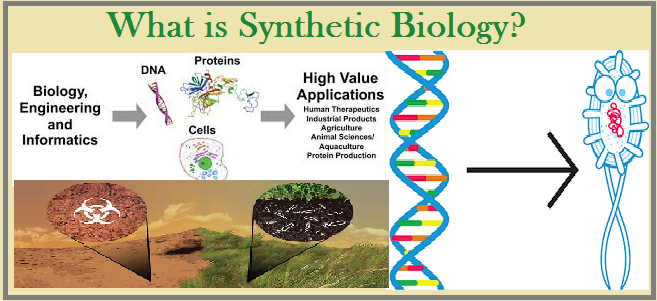 what-is-synthetic-biology-and-how-is-it-related-to-biosafety-and